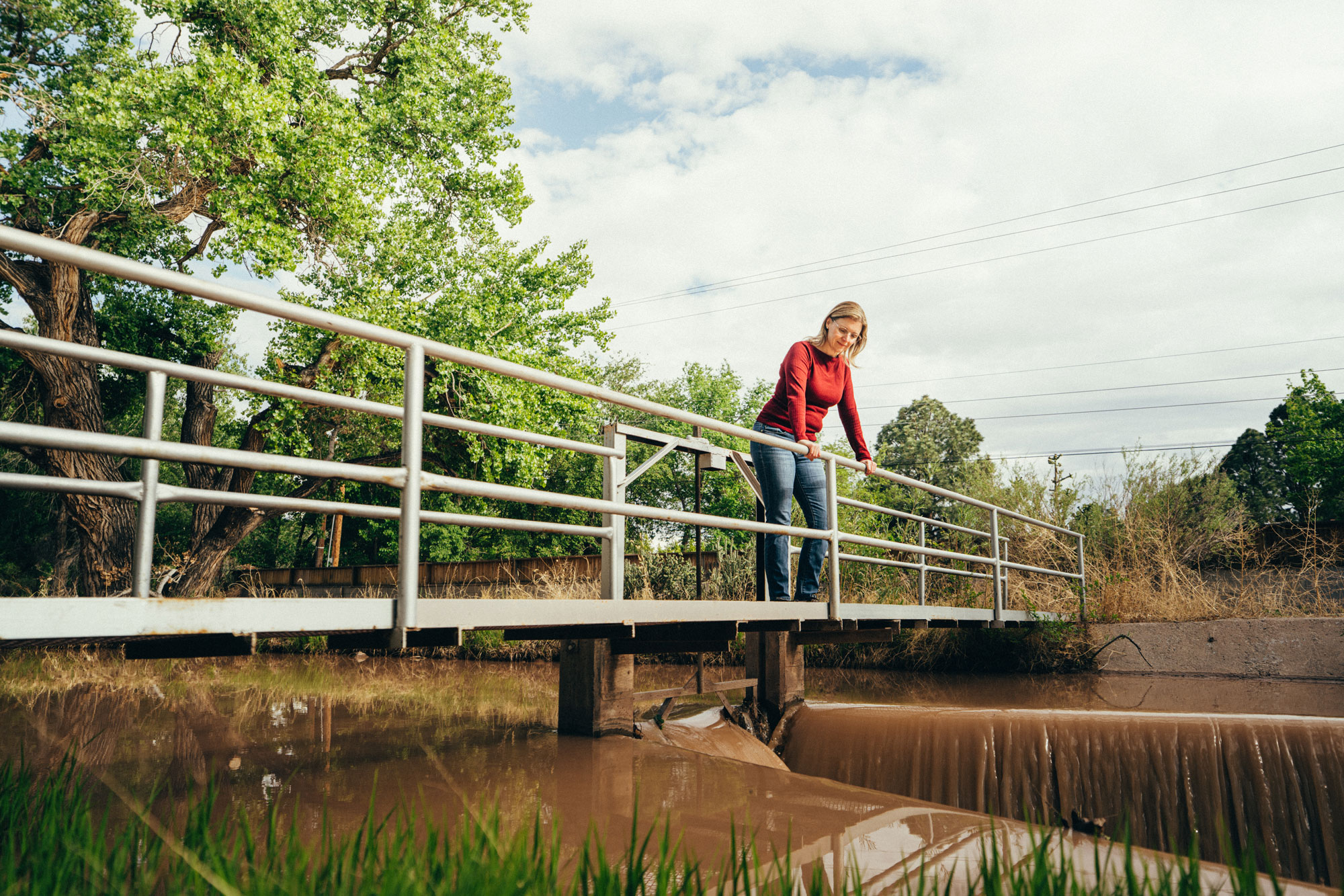 Featured image for “Conservación, Modernización, and Acción: Una entrevista con la Ingeniera Estatal Liz Anderson”