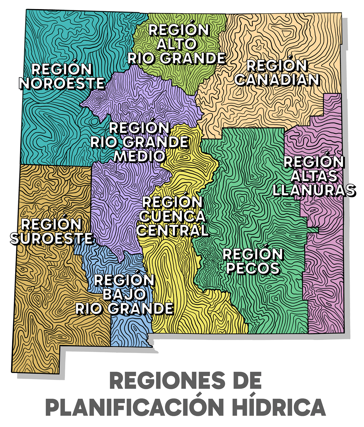 Región Noroeste, Región Alto Rio Grande, Región Rio Grande Medio, Región Bajo Rio Grande, Región Canadian, Región Altas Llanuras, Región Suroeste, Región Cuenca Central